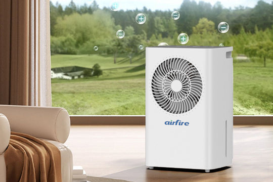 Why a Dehumidifier is Essential for a Healthy Home | AIRFIRE