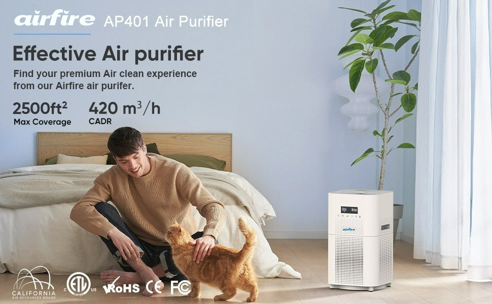 air purifier for large room