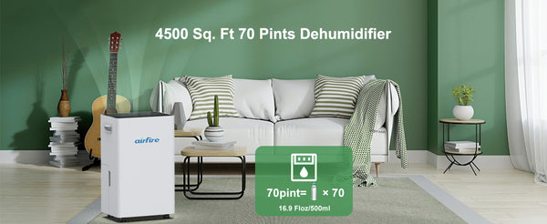 dehumidifier for home