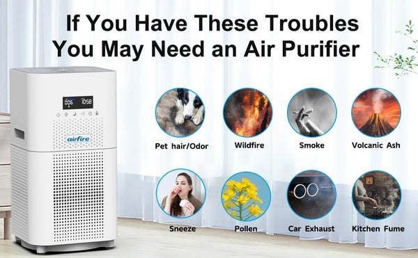 air purifier for large rooms