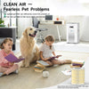 air purifier for home
