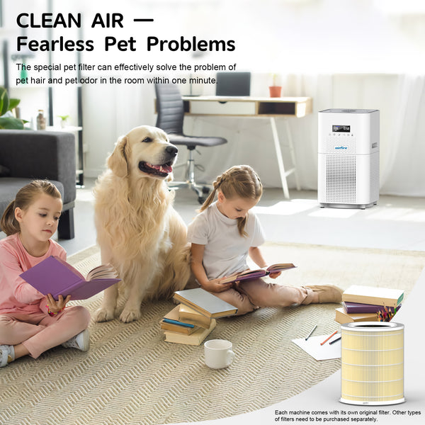 air purifier for home