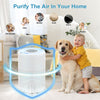 air purifier for bedroom