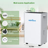 dehumidifier for home