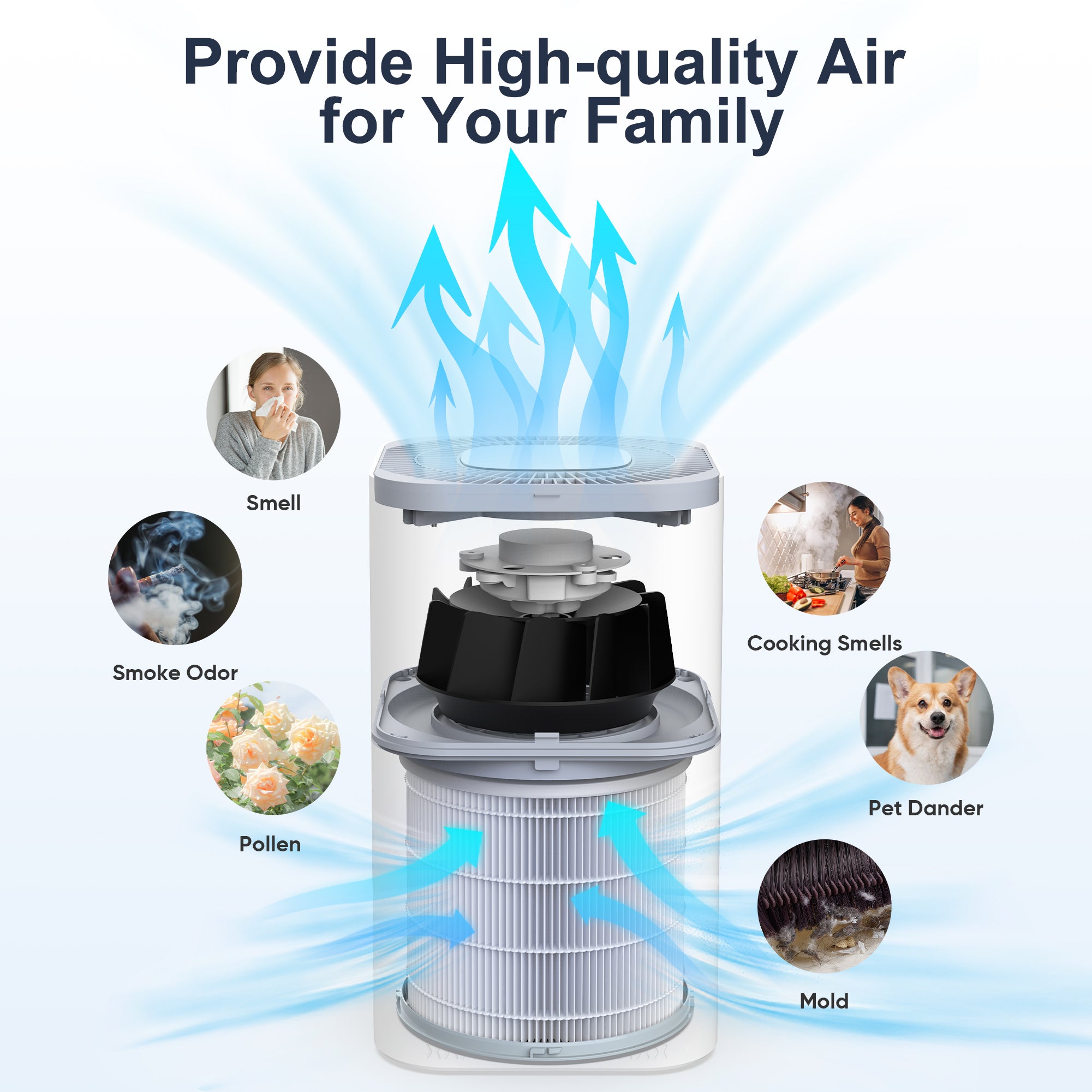 air purifier for dormitory