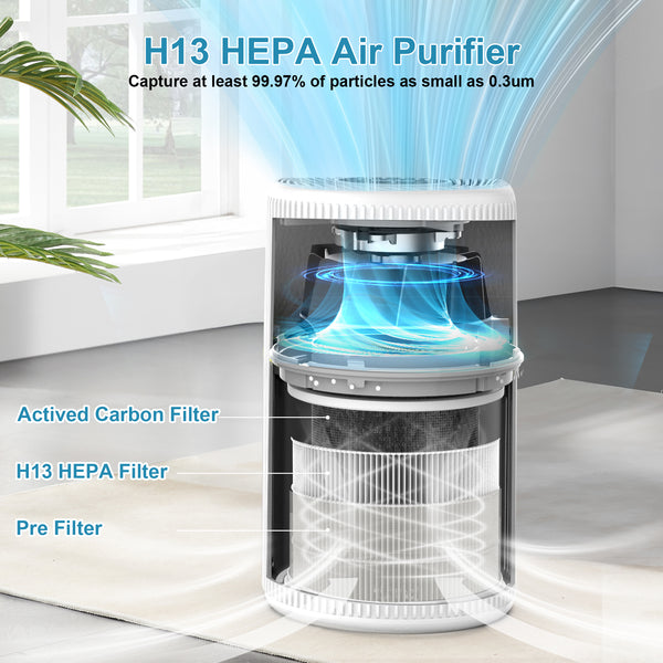 air purifier for dormitory