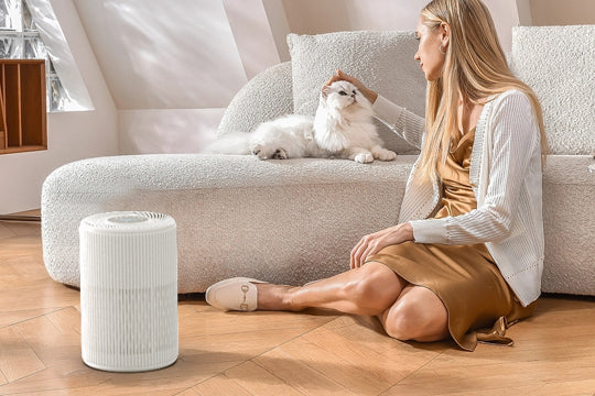 What Does an Air Purifier Do for Your Home?