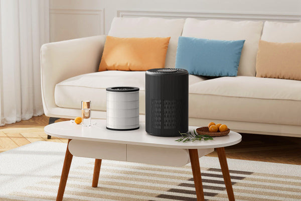 How to Replace an Air Purifier Filter (HEPA) – When & How Often to Change