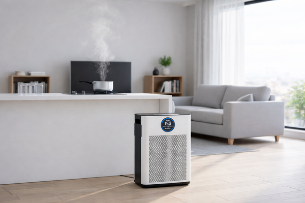 Can an Air Purifier Remove Indoor Smoke?