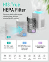 FRESHDEW AP203 True HEPA Air Purifier for Bedroom & Pets