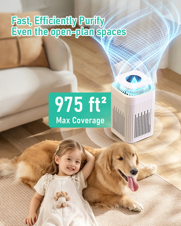 FRESHDEW AP203 True HEPA Air Purifier for Bedroom & Pets
