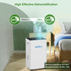 dehumidifier for home