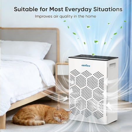 Breathe Cleaner: H14 HEPA Filter for AP309/AP409 Purifiers