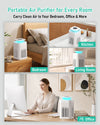 FRESHDEW AP203 True HEPA Air Purifier for Bedroom & Pets