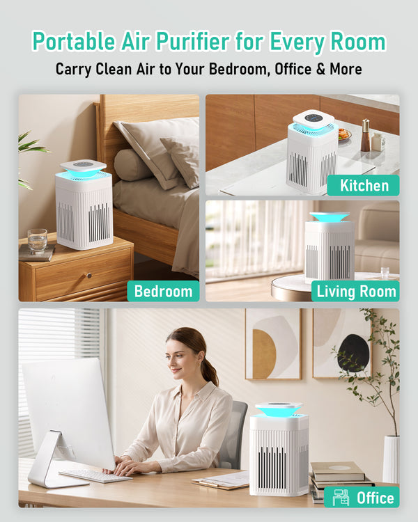 FRESHDEW AP203 True HEPA Air Purifier for Bedroom & Pets