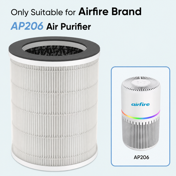 AP206 Replacement Filter
